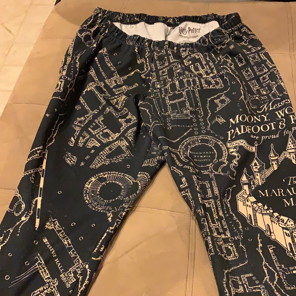 Harry Potter leggings Torrid